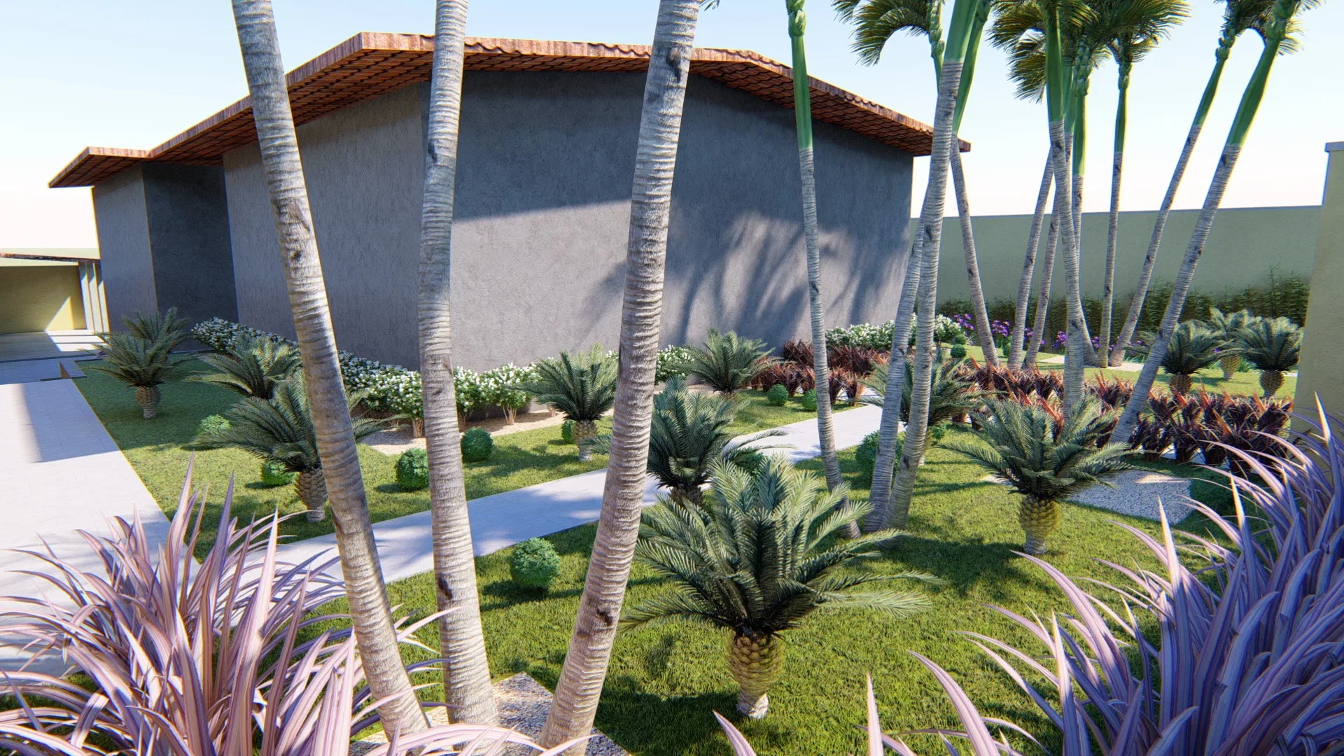 Front garden with sago-style palms across the lawn, tall palm trunks and purple foliage before a concrete house with a colonial-tiled roof