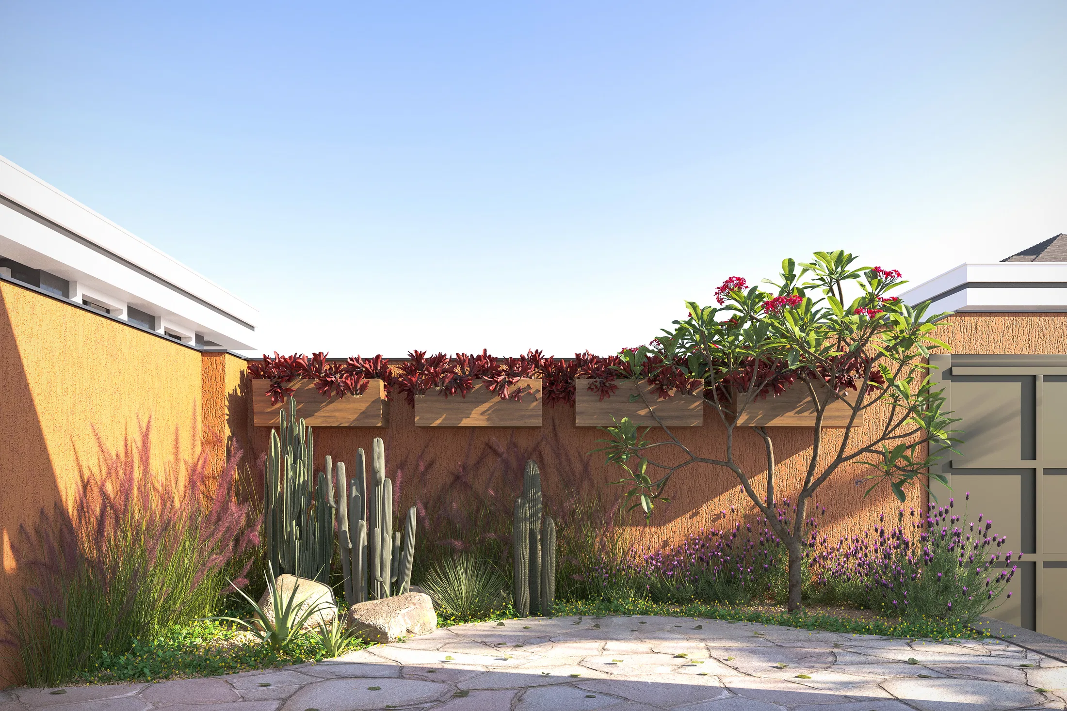 Courtyard with a terracotta wall, a garden of columnar cacti and succulents, a red-flowering shrub and irregular stone paving