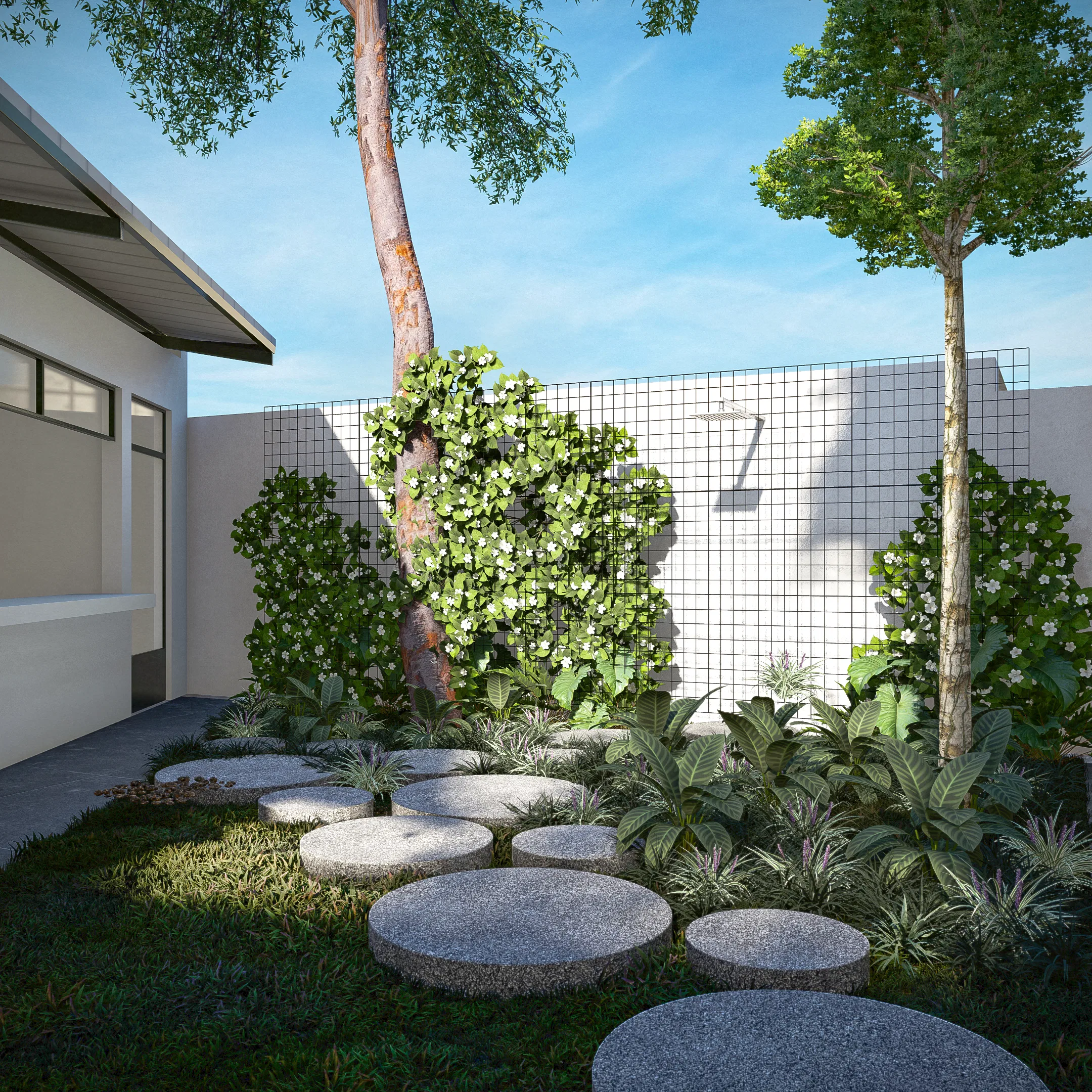 Courtyard with a slender-trunked tree, flowering vines on a wire trellis and a round stepping-stone path over lawn