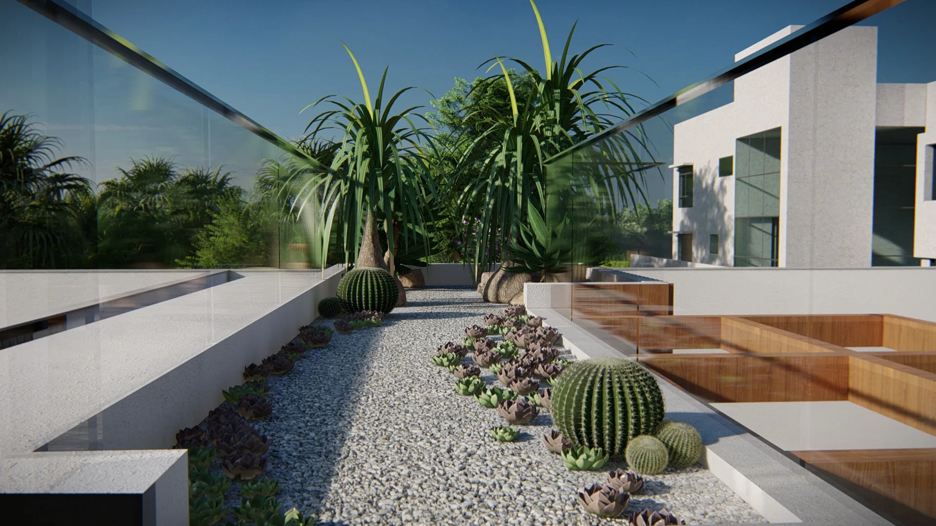 Terrace dry garden of gravel framed by glass railings, with barrel cacti, rosette succulents and ponytail palms