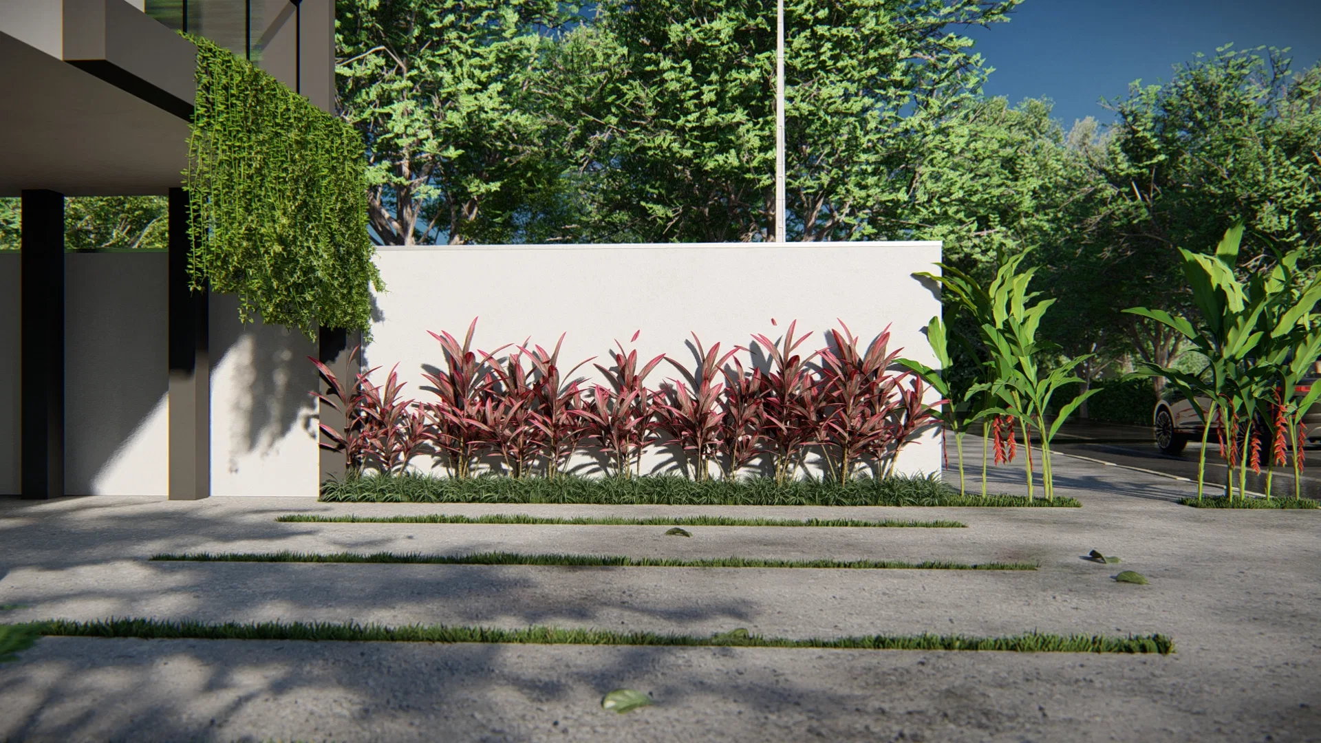 Linear planting bed with rows of burgundy foliage along a white wall, bordered by grass strips on the driveway and orange heliconia flowers