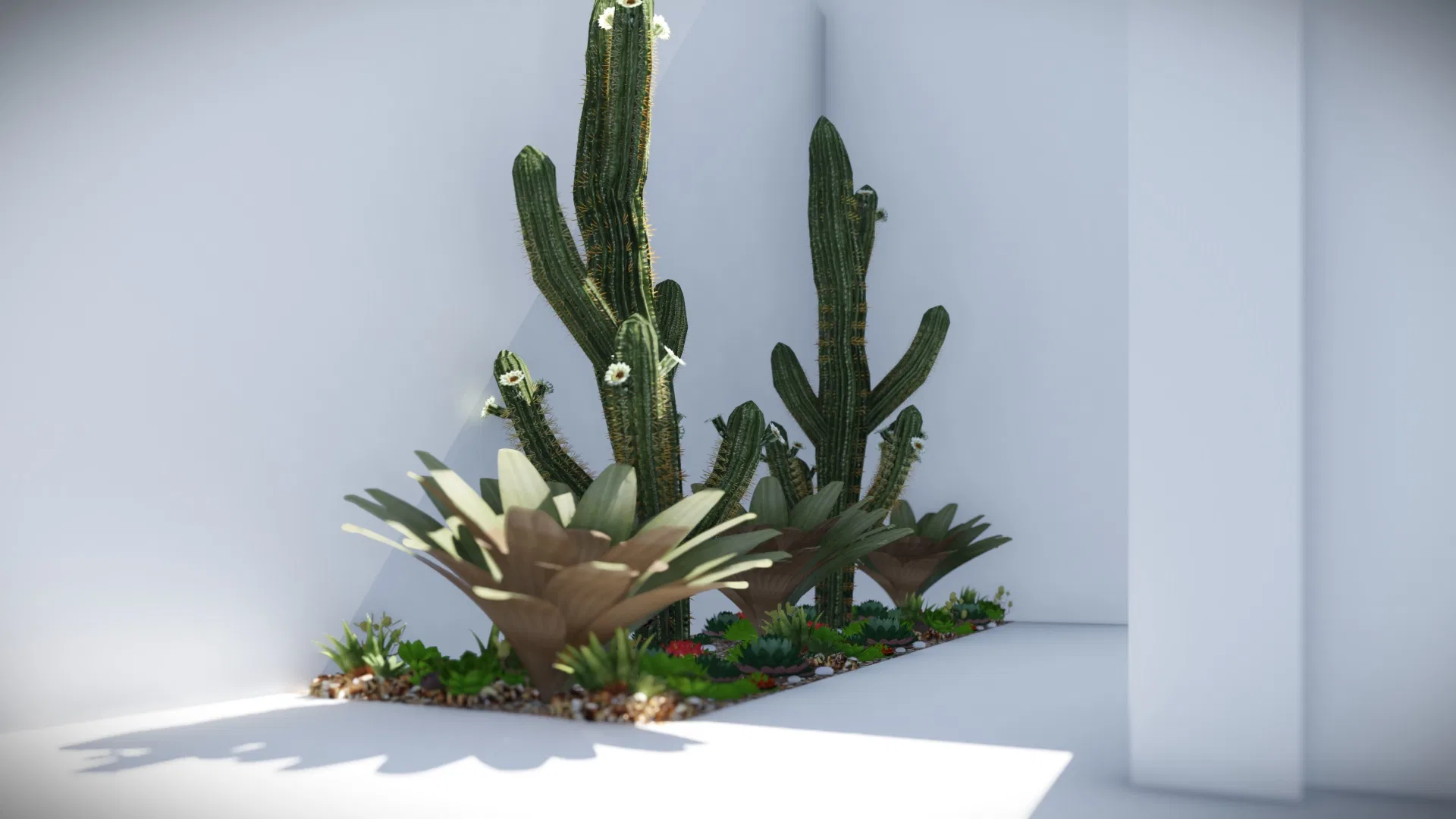 Composition of tall cacti and succulents in a white niche, with bromeliads and low ground cover framing the base