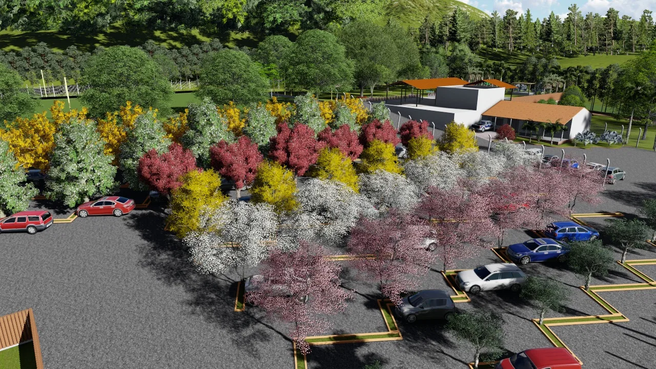 Aerial view of the car park with marked bays and rows of ipê trees flowering in yellow, pink and white, parked cars and a building among hills beyond