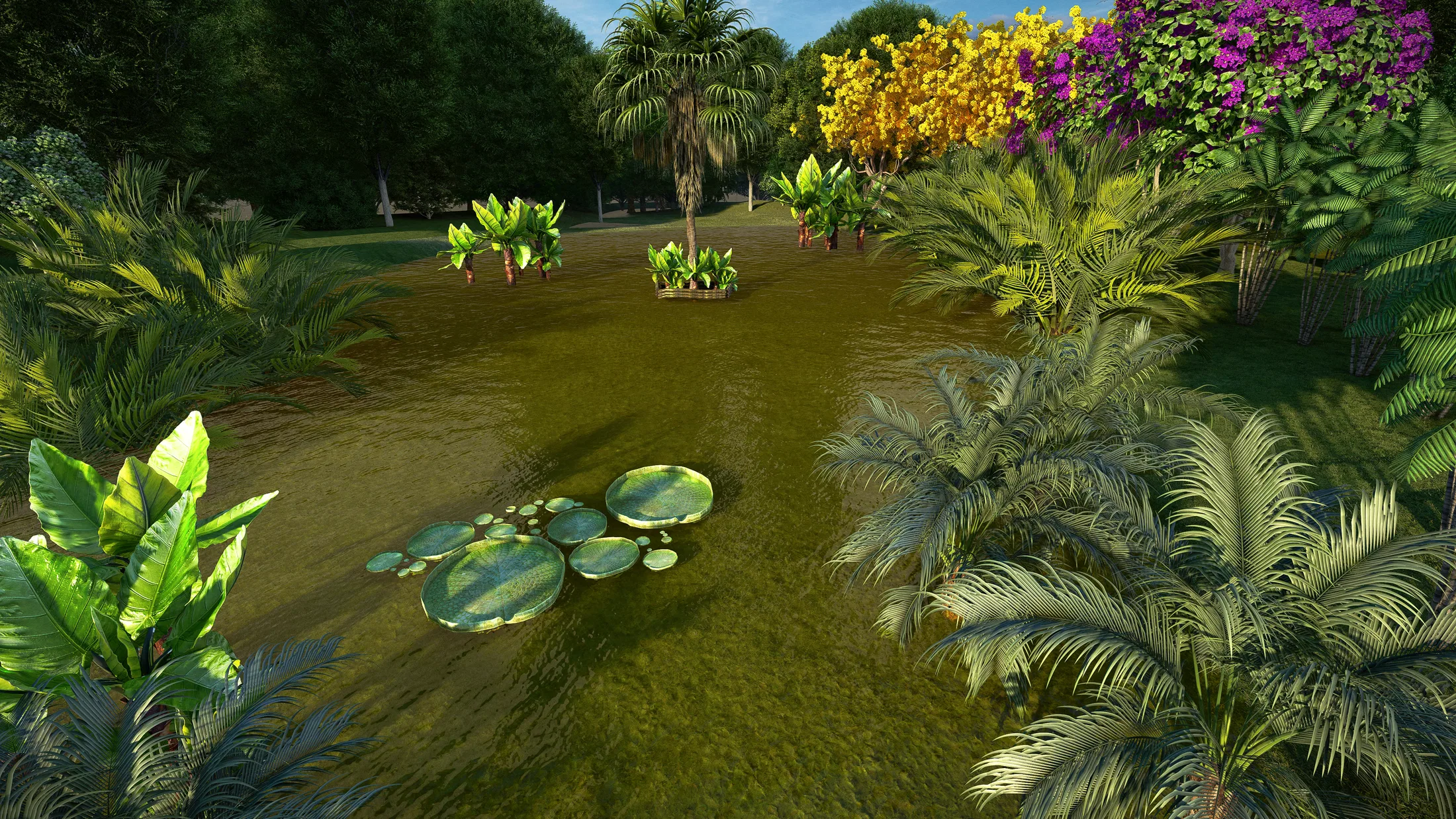 Water mirror with giant water-lily leaves, surrounded by yellow-flowering trees and purple bougainvillea.