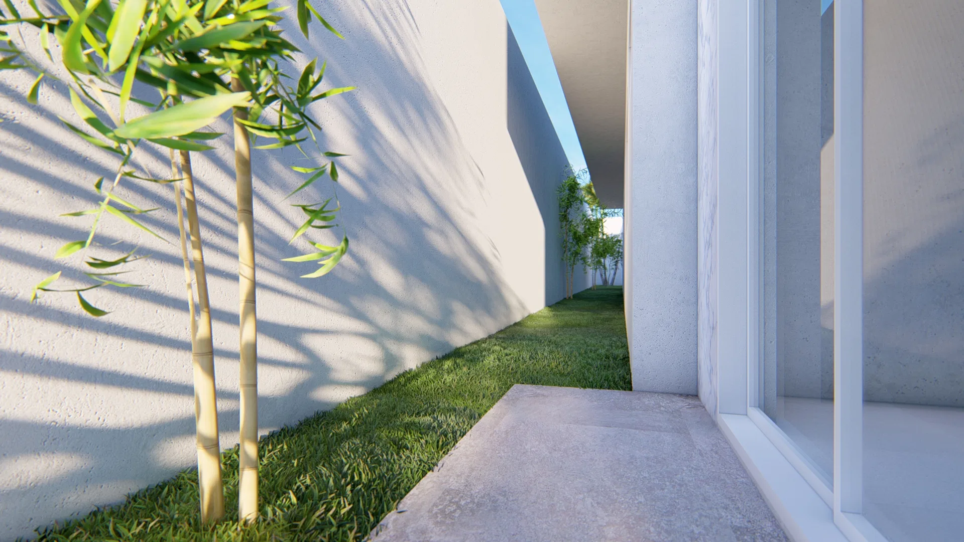 Side corridor between white walls with a grass strip, a bamboo clump and a concrete stepping path running along the home's glass wall.