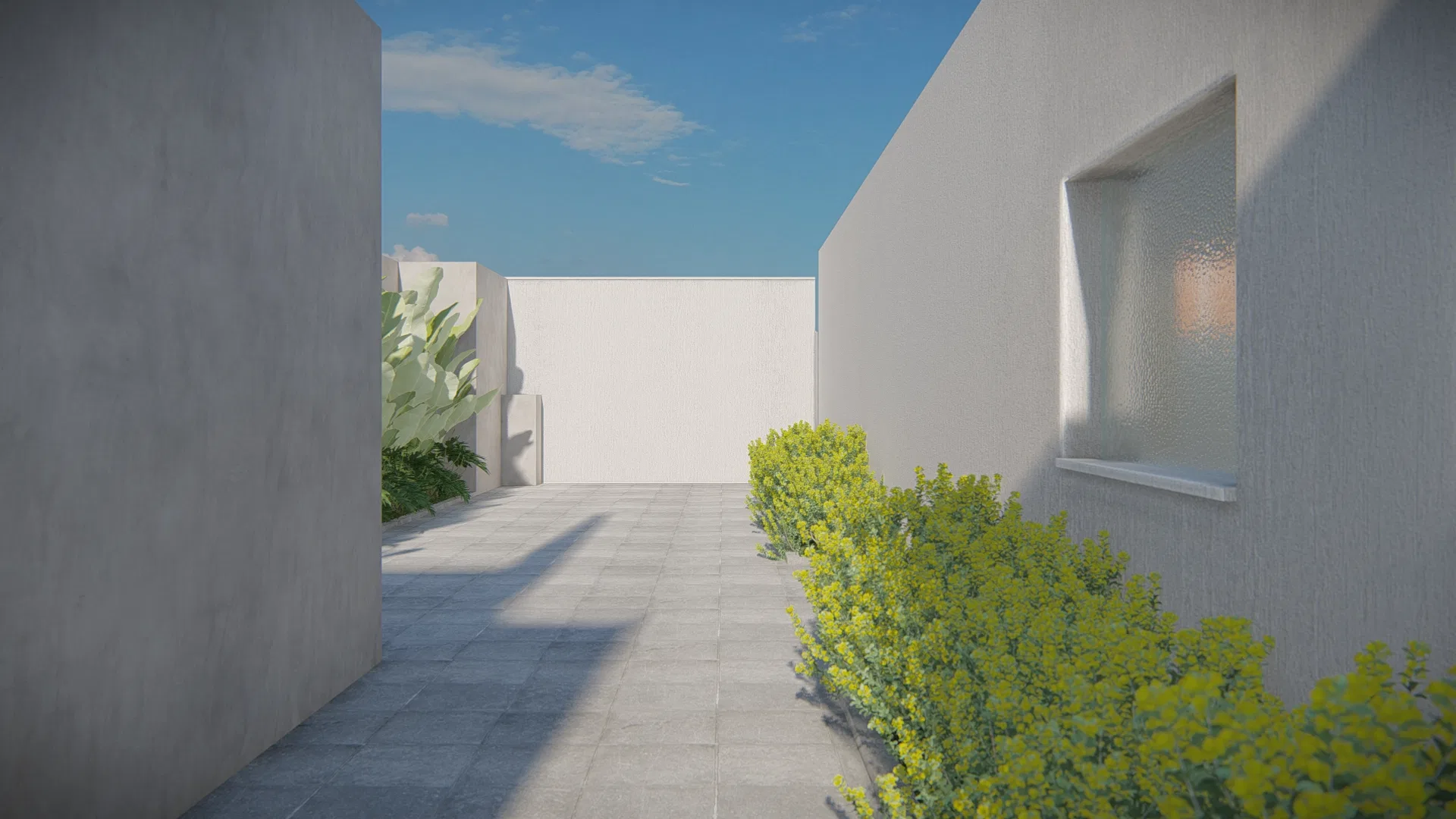 Side passage between pale walls, with large-format paving and a run of yellow-green shrubs following the wall to the far end