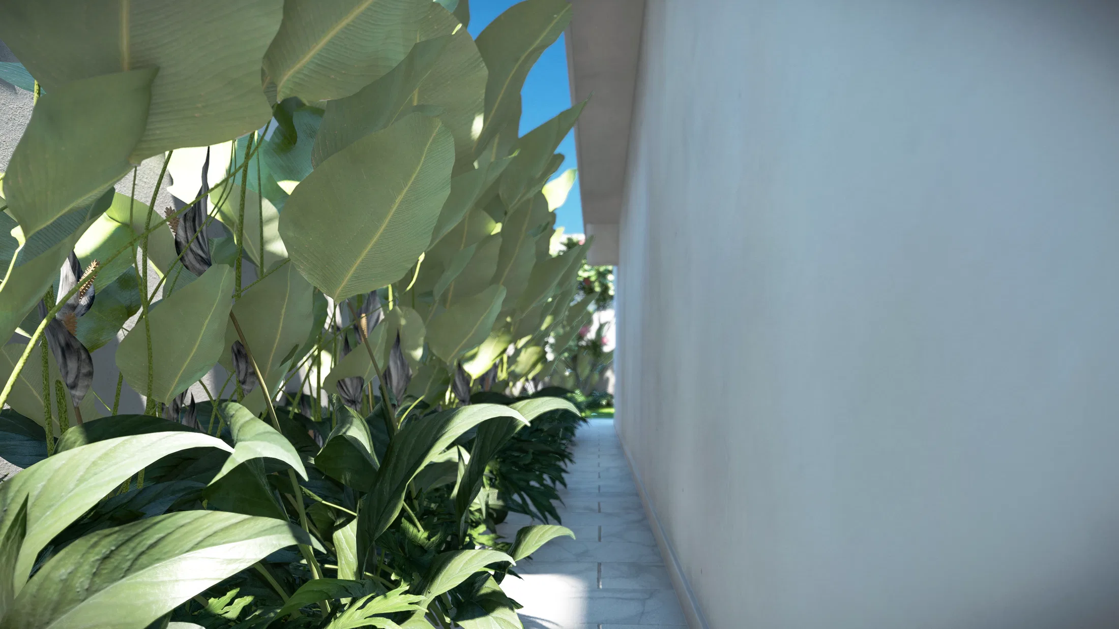 Narrow side corridor between the wall and large tropical foliage beside a paved-slab floor