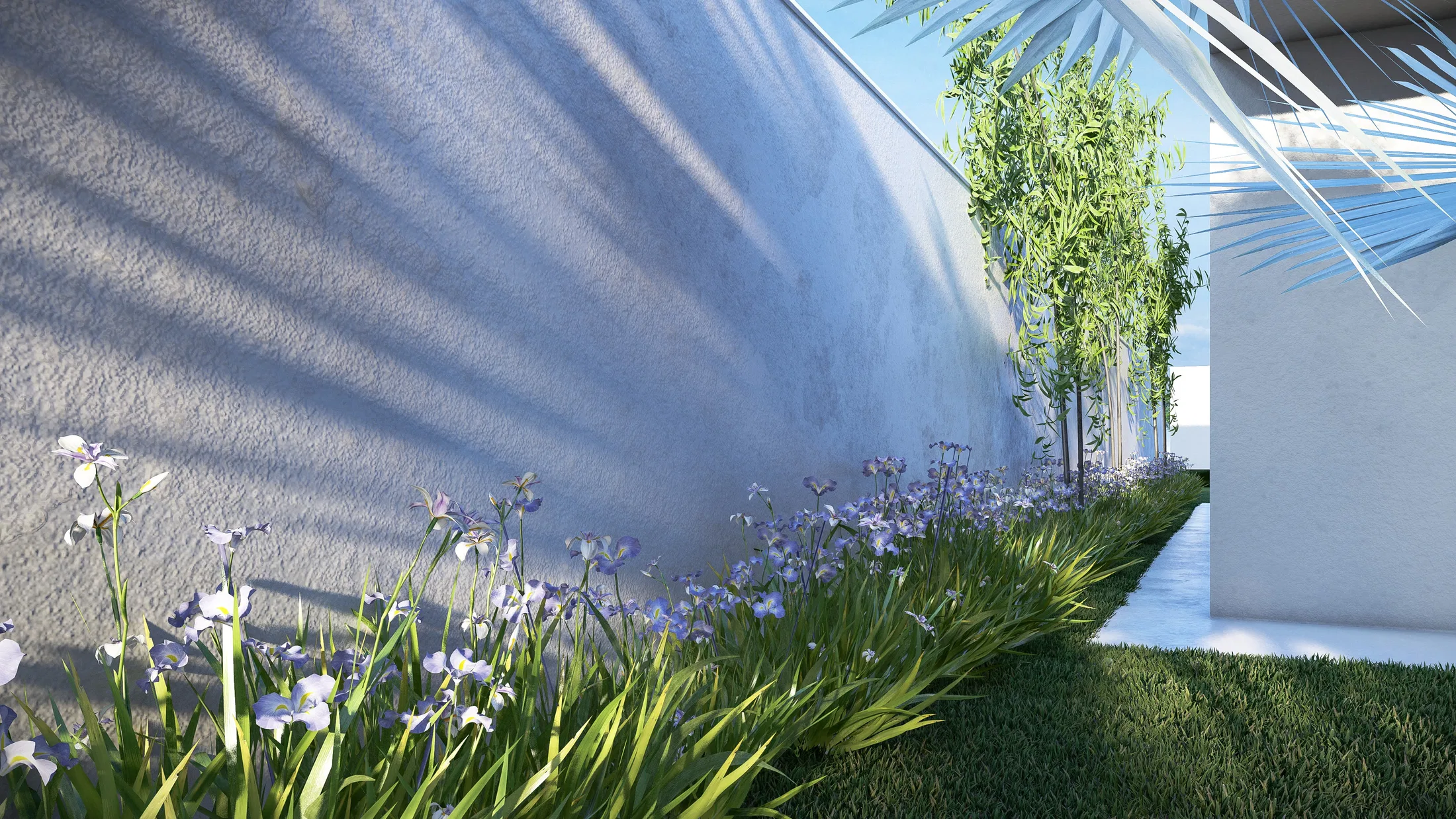 Curved white wall with a bed of lilac and white flowers at its base, cropped grass and long frond shadows in the sun