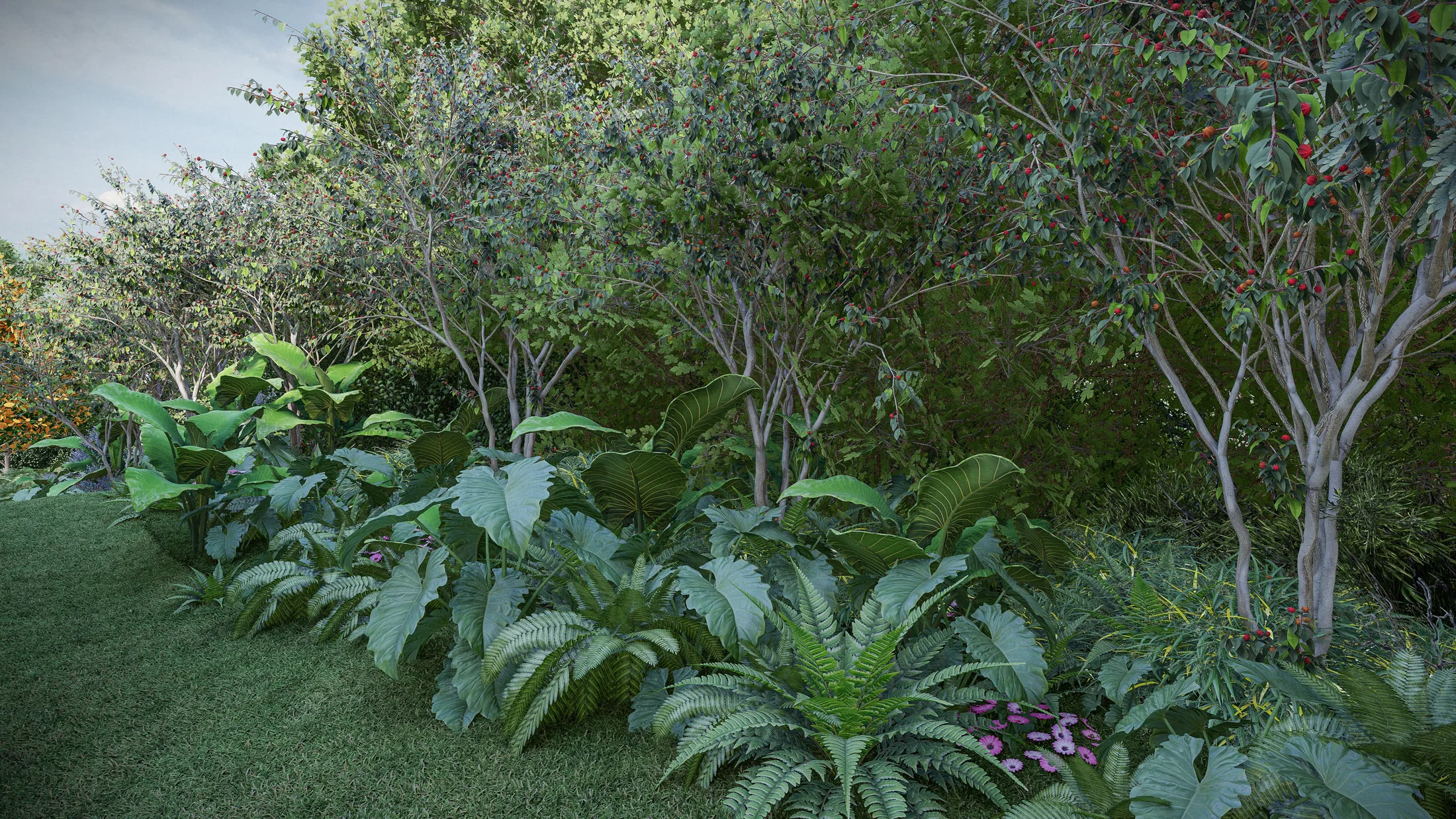 A dense border at the lawn's edge, with broad-leaved foliage, ferns, small trees and a red-berried tree on the right.