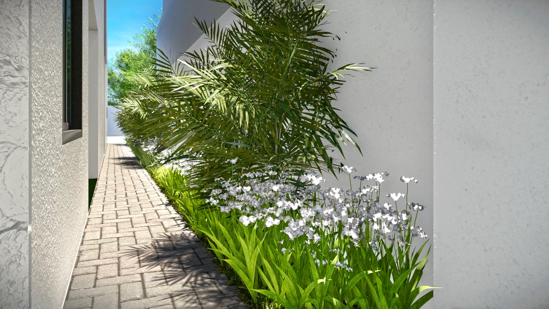 Side passage in interlocking pavers, with a stone wall, a bamboo palm and a bed of white flowers lit by the sun
