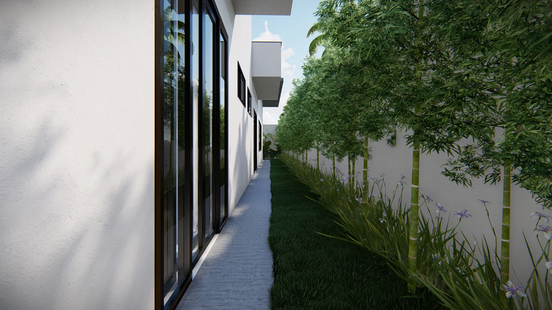 Side passage along the glazed facade, with a grass strip, a paved path and a row of bamboo and iris at the foot of the wall.
