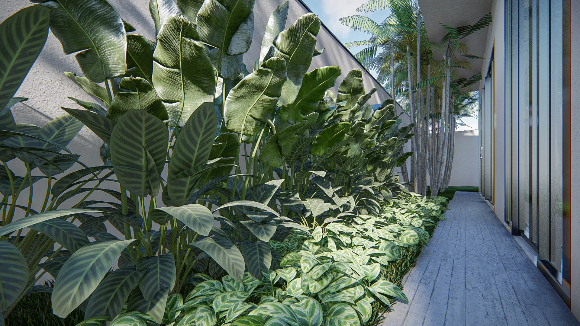 A lush side bed with banana plants, calatheas and dense foliage running along a timber walkway beside the house.