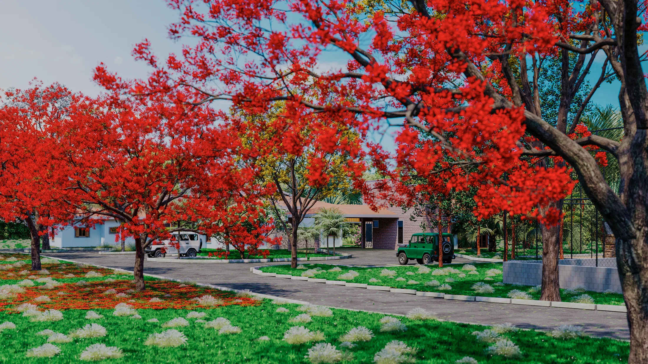 Section of the access road covered by intensely red flowering tree canopies, with houses and a vehicle in the background.