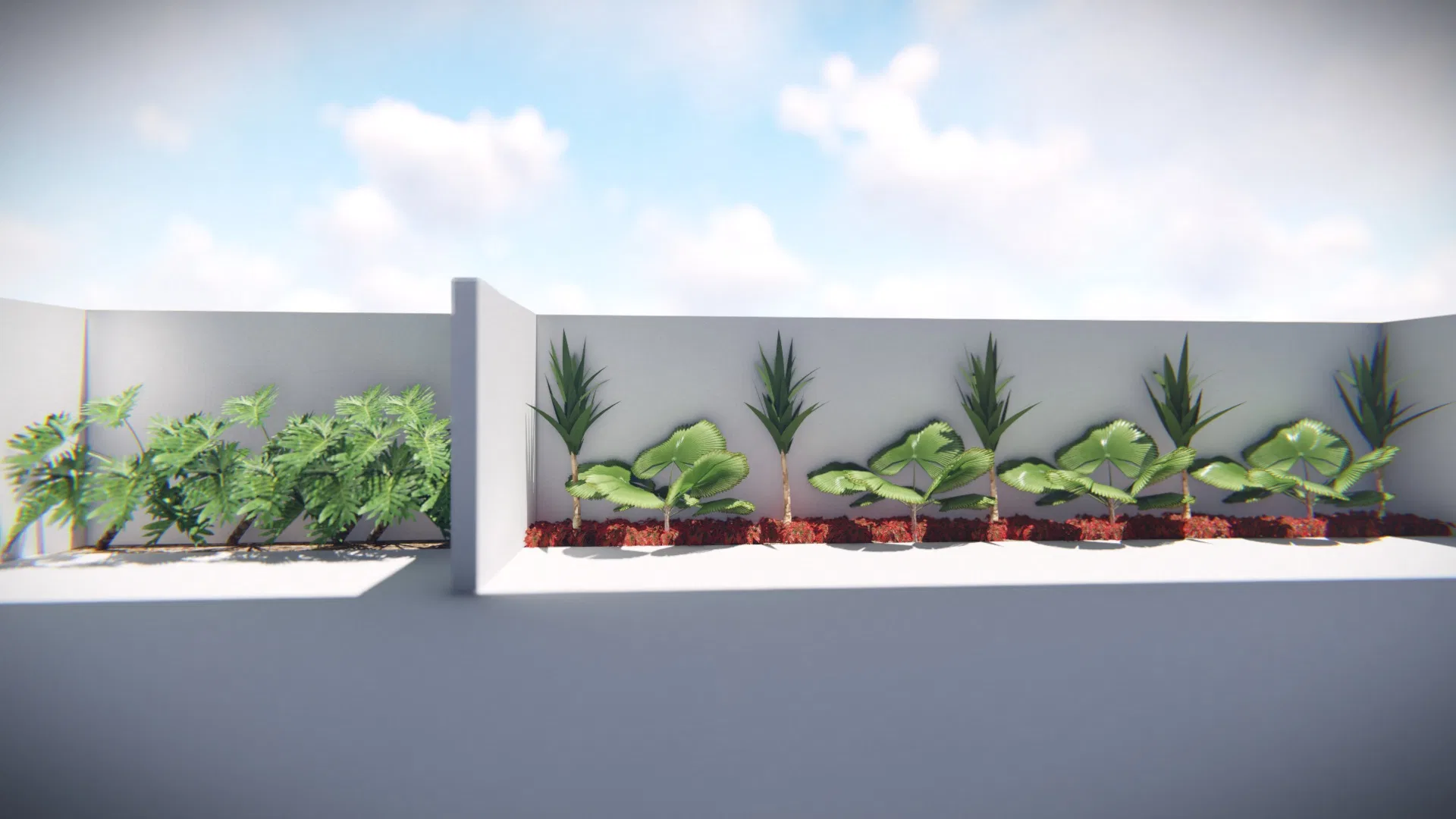 Raised planter running along a white wall, with young palms and broad-leaved foliage alternating over reddish mulch