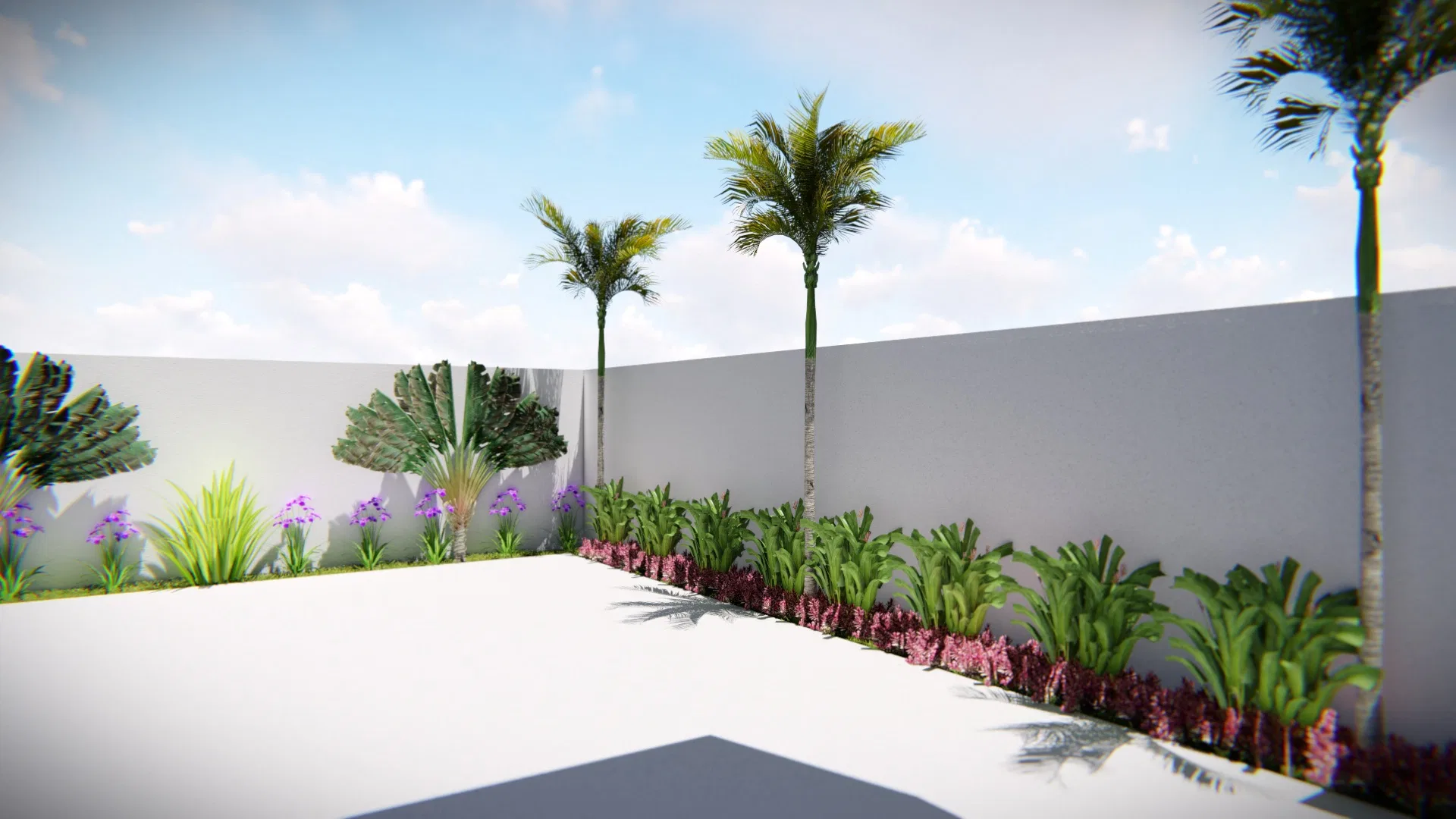 Courtyard framed by white walls, with slender palms and base beds combining tropical foliage and magenta blooms over a light floor
