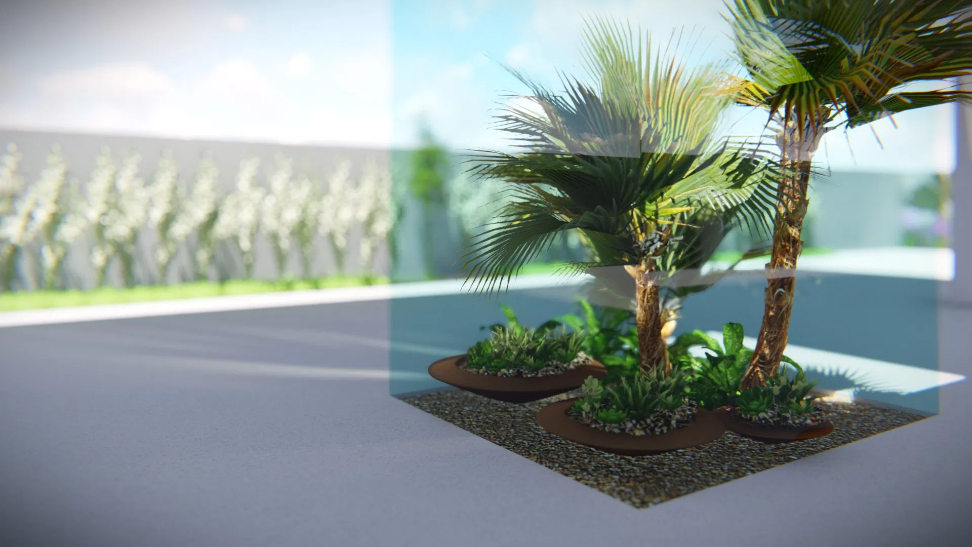 Trio of low rounded planters holding palms and mixed foliage over gravel, beside a glass panel, with a blurred white flowering hedge behind
