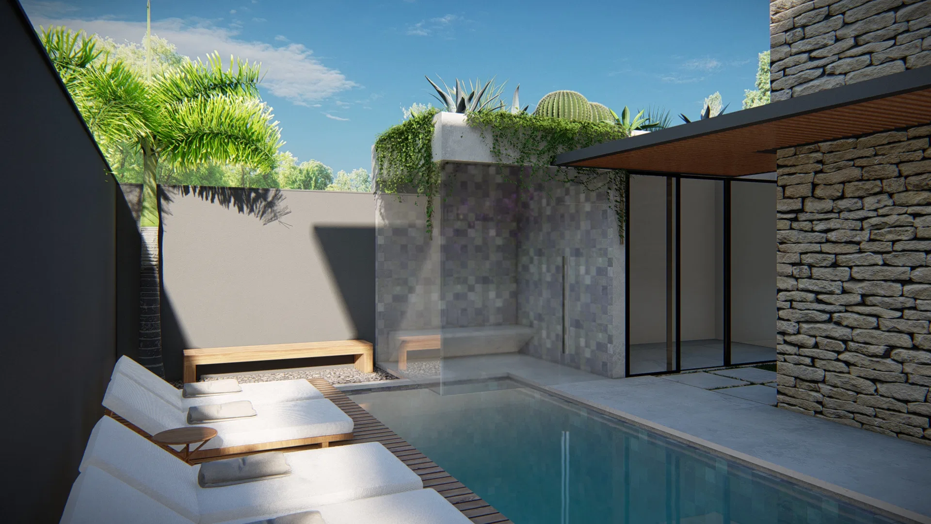 Narrow pool with a wooden deck and white loungers, a gray-toned clad wall and cacti perched on the boundary wall behind