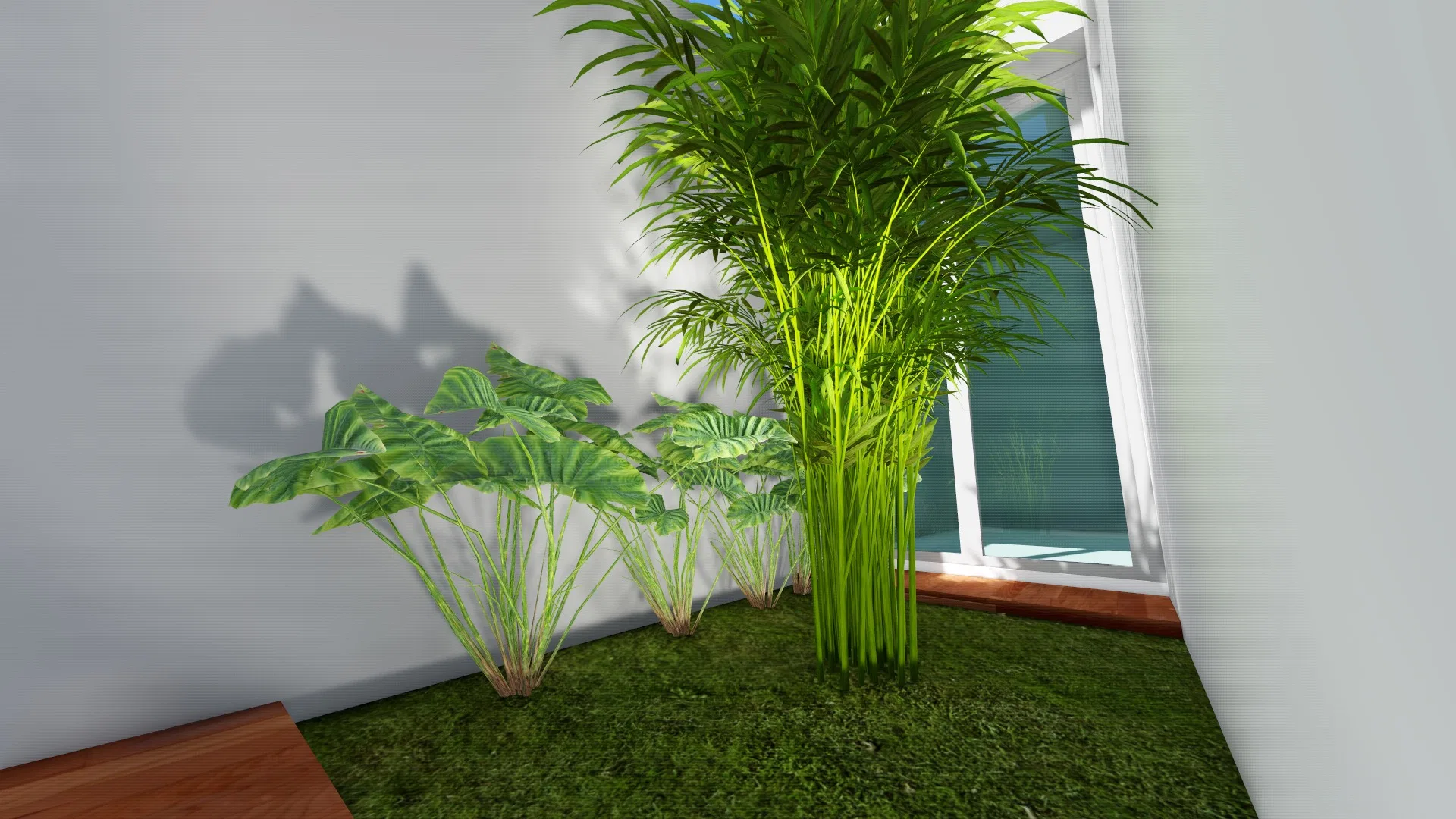 Garden corner with areca palms and elephant-ear foliage over the lawn, next to a wooden deck