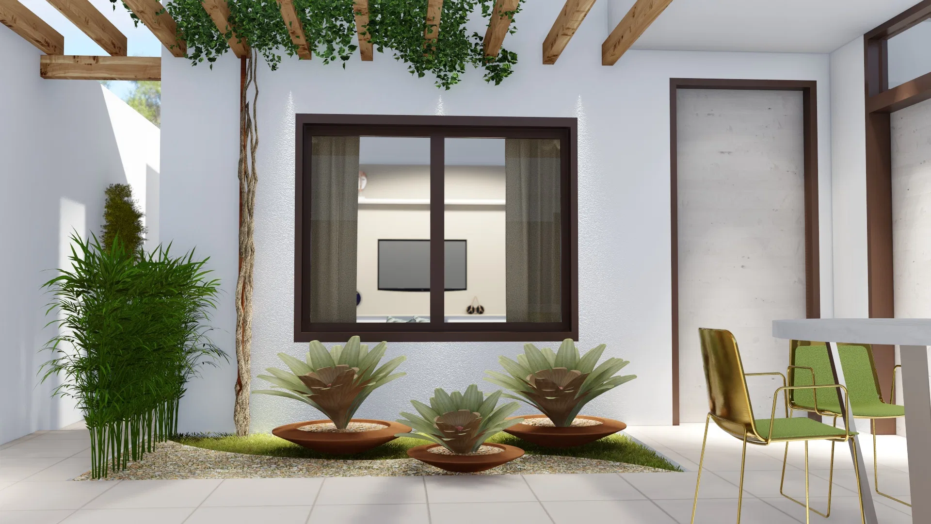 Small courtyard by a window with three metal bowl planters of bromeliads, a bamboo clump and a wooden pergola of climbers.