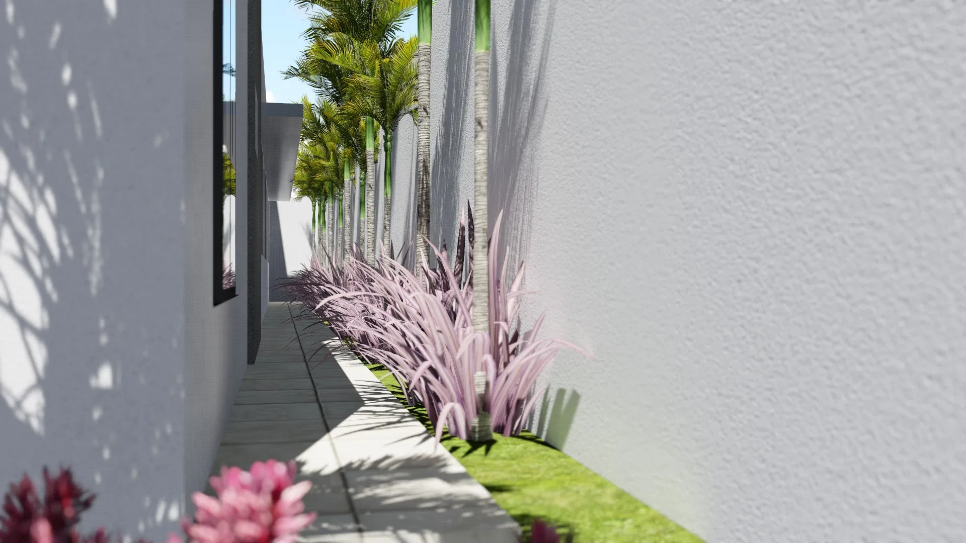 Side corridor with rosy ornamental grasses along the bed, palms beyond and pink blooms in the foreground