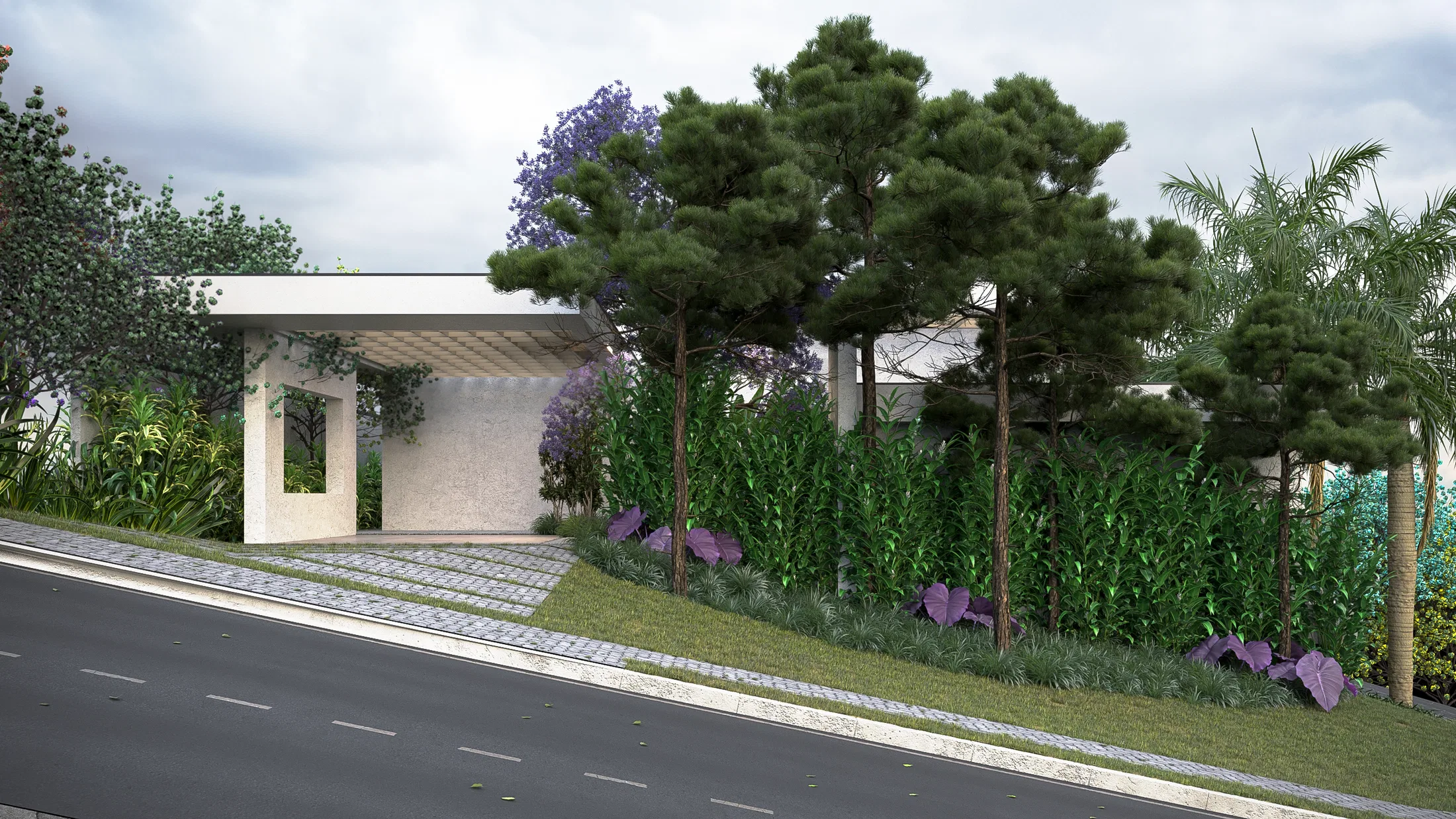Covered entrance seen from the street, with a stone portico, a blooming jacaranda, pines and a tall hedge lining the sidewalk