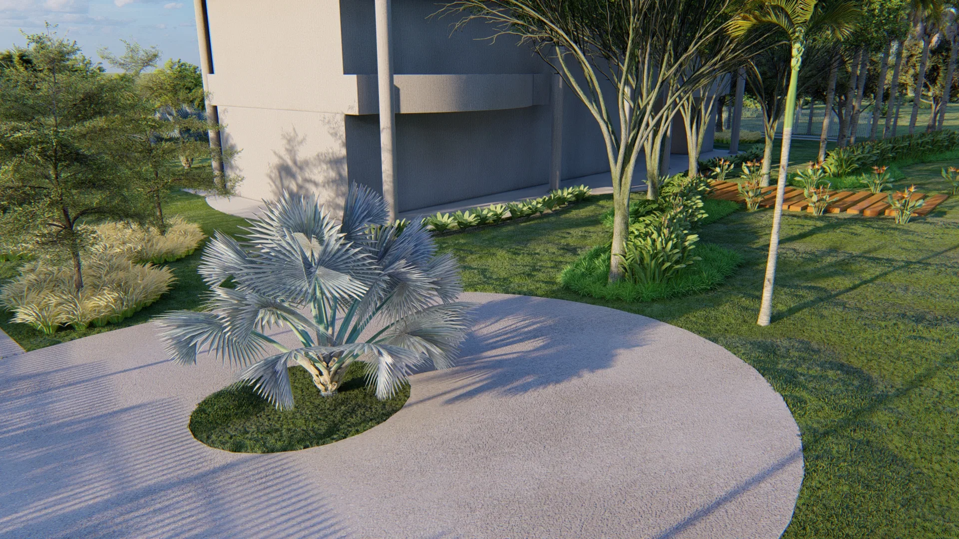 Blue fan palm set in a circular grass cutout within a pale gravel courtyard, beside ornamental grasses and a wooden deck.