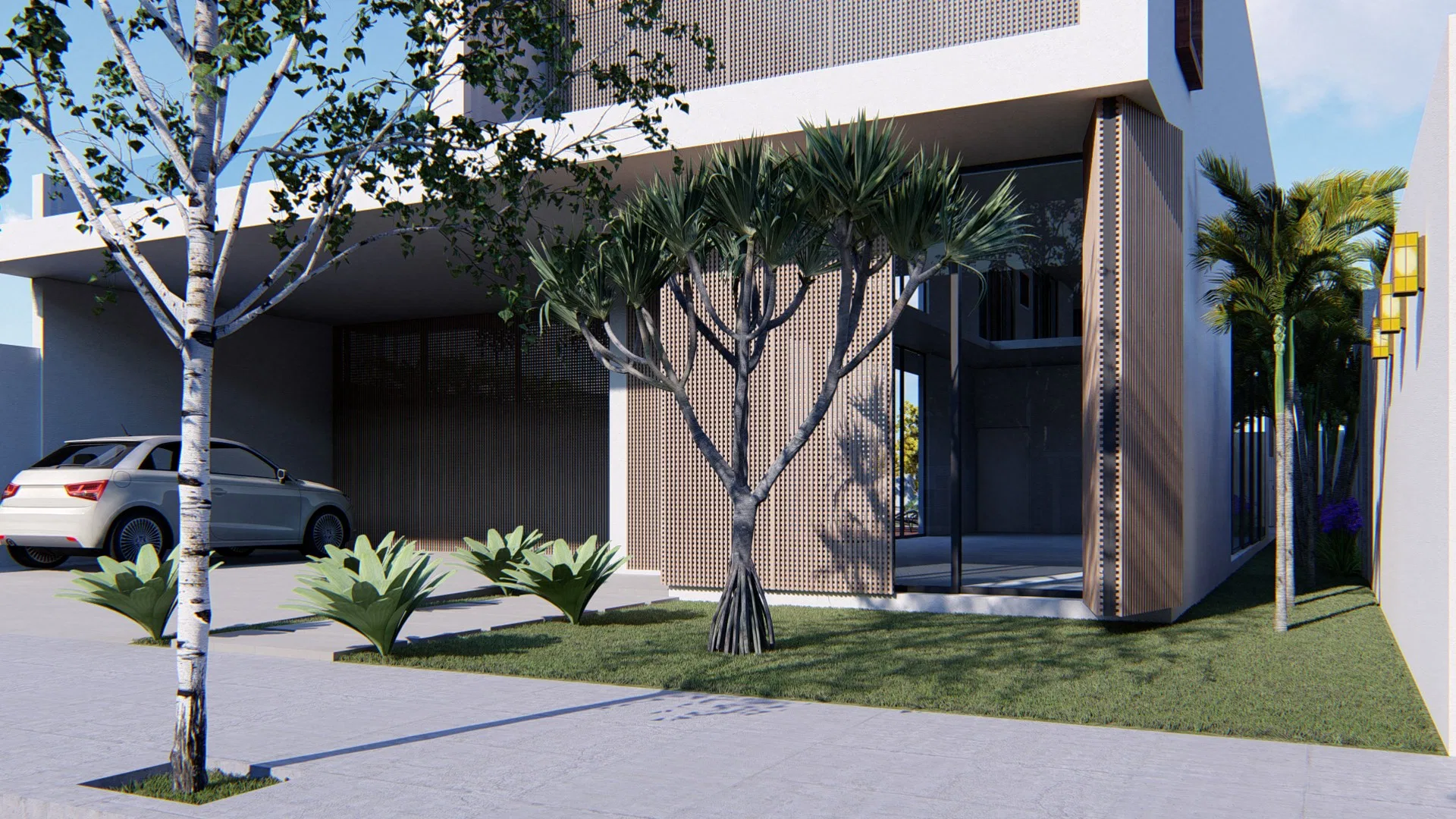 Side approach with a sculptural branching tree, fan-shaped foliage beds and a perforated timber panel beside the glazing