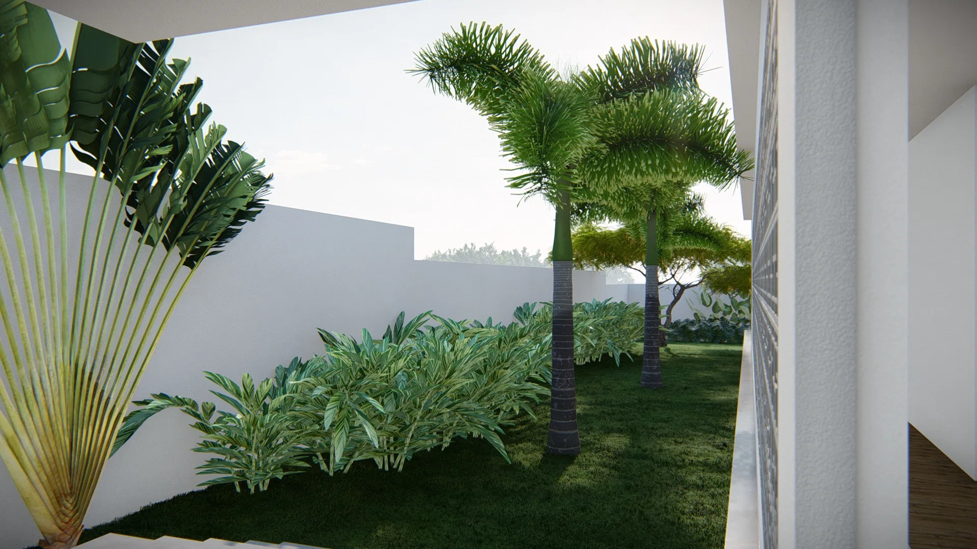 Corridor between pale walls with two raphis palms, a low shrub bed and bird-of-paradise leaves in the foreground