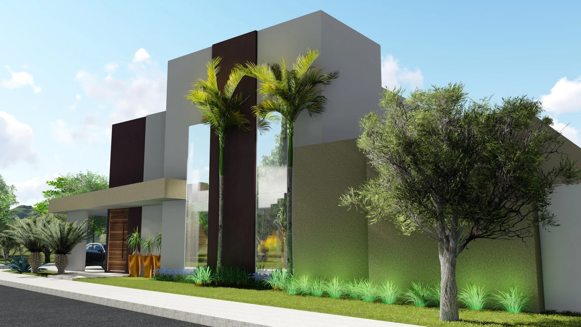 Facade of white volumes with slender palms framing the glazed entrance, a wooden pivot door and clumps of ornamental grass at the base
