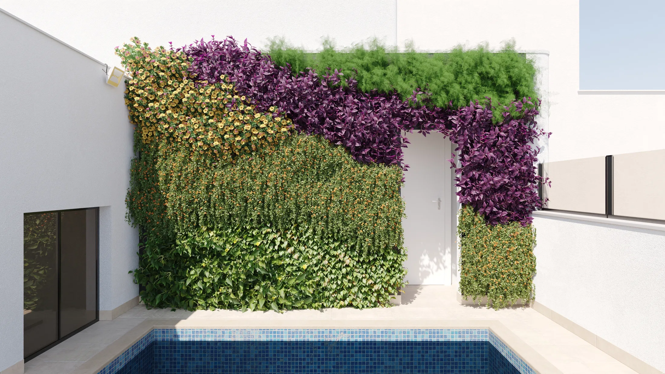 Vertical garden framing a white access door, with yellow, purple and green blooms in front of a straight-edge pool clad in blue mosaic tile.