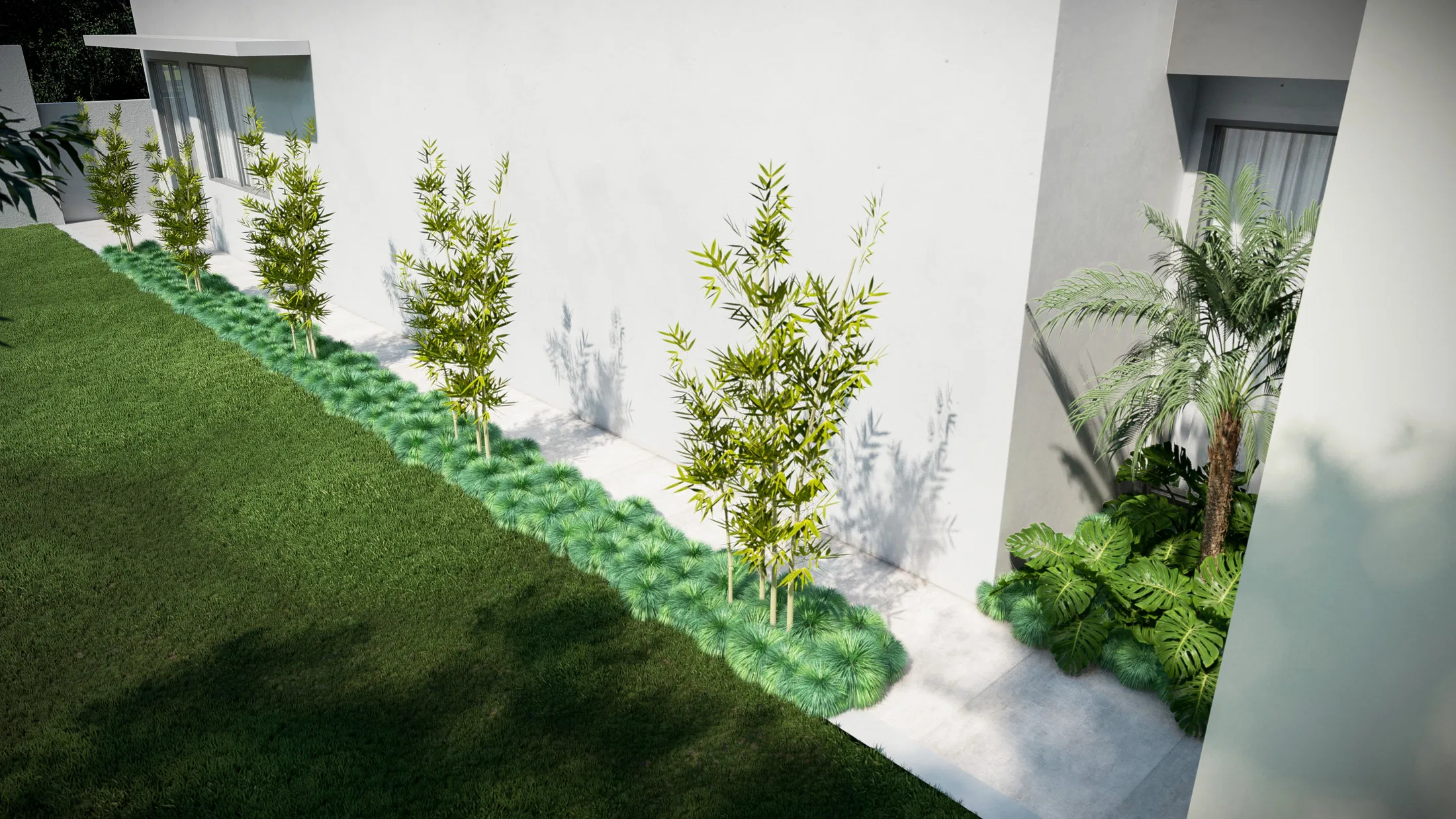 Side corridor seen from above, with a line of bamboo along the white wall, a mondo-grass border, lawn on the left and foliage at a corner