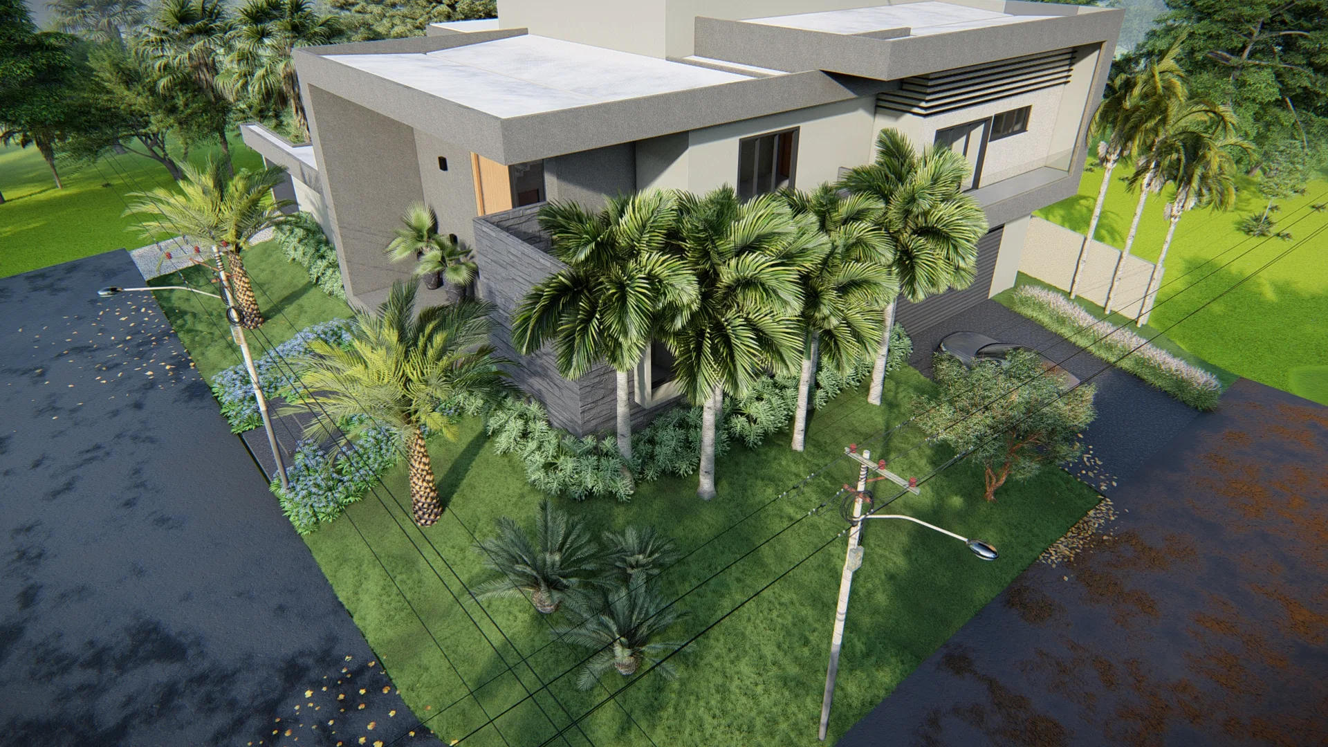 Elevated view of the building showing the massing of the house and the front garden of palms, cycads and agapanthus