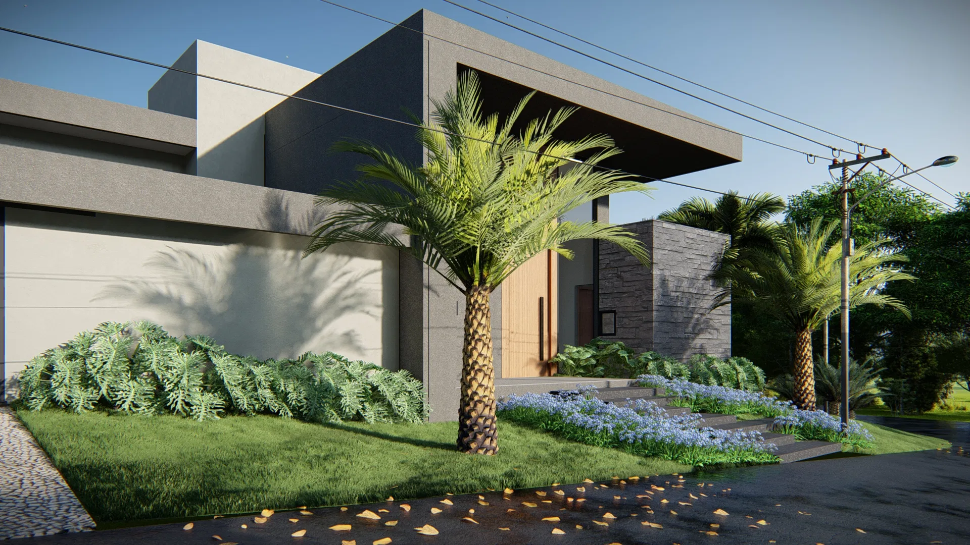Modern house facade in dark grey volumes, with a cantilevered entrance, a phoenix palm and a bed of blue agapanthus over the lawn