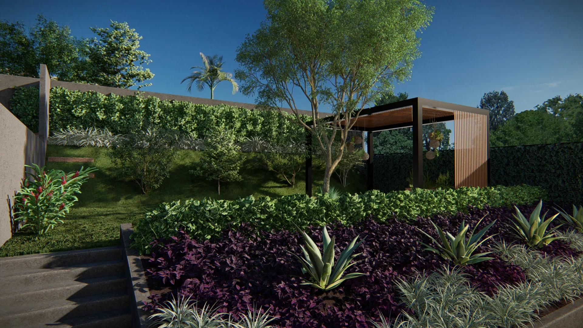 Dense layered bed of purple foliage, variegated agaves and grasses, with a slatted timber pergola set against the hedge beyond