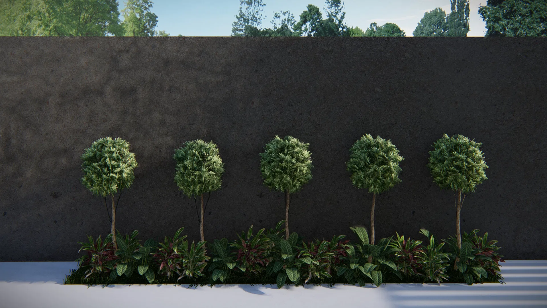 Row of five ball-topiary standard trees against a dark wall, underplanted with red and green foliage, under daylight