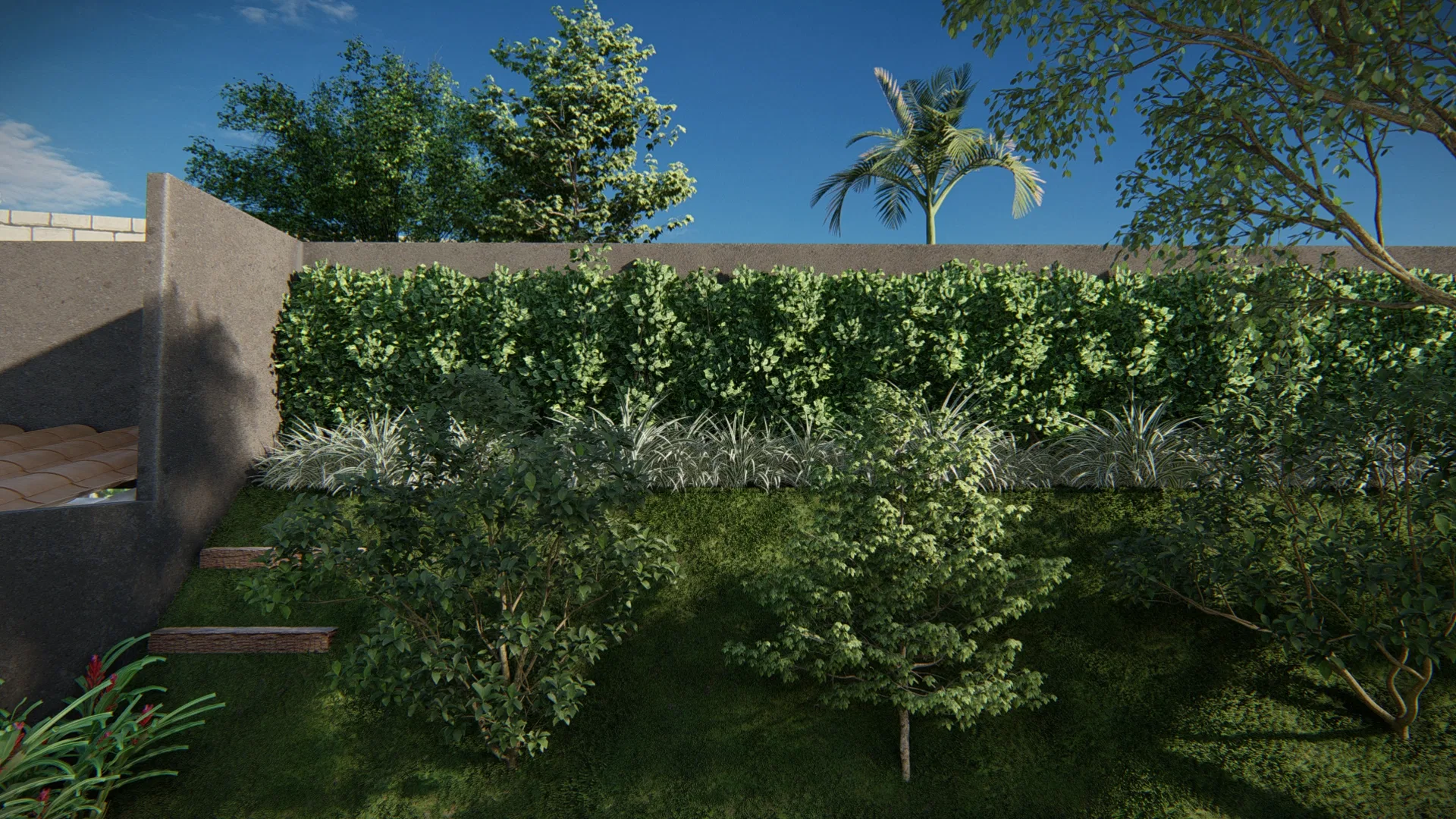 Tall clipped hedge above the boundary wall, ornamental grasses at its base and young shrubs and trees spread over the lawn, a palm rising behind