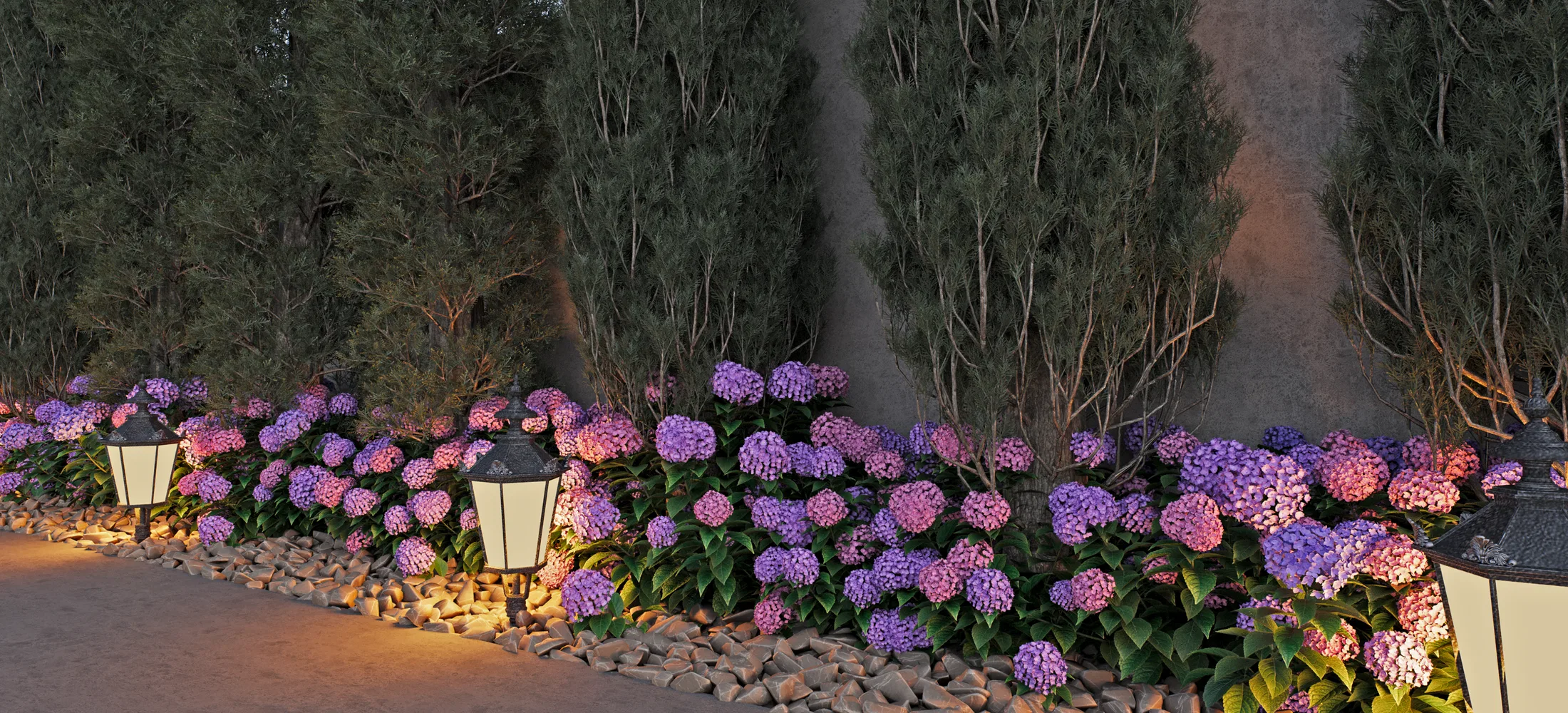 Pebble path edged by flowering hydrangeas and slender trees, with lit lanterns creating an early-evening mood