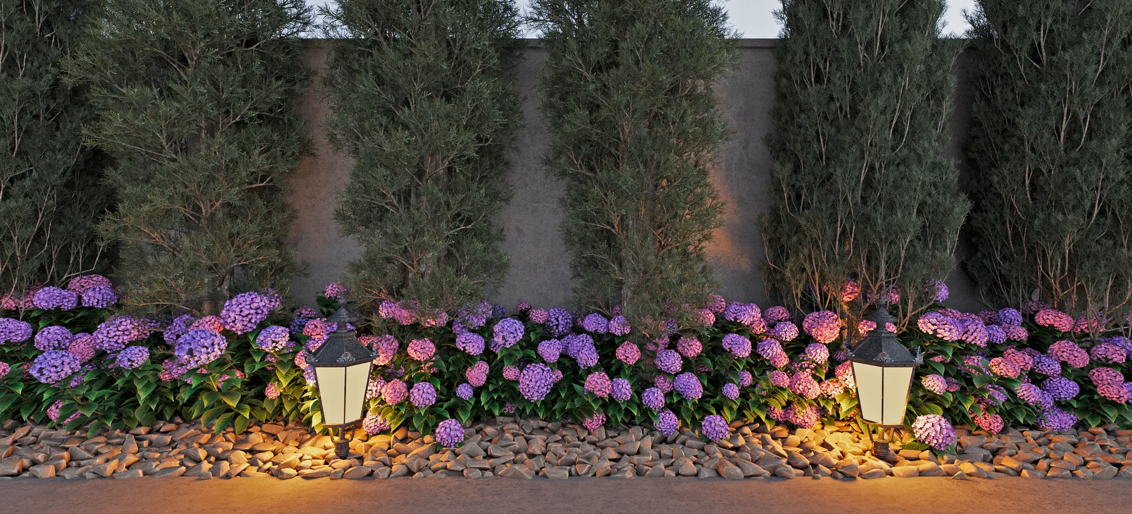 Border of pink and purple hydrangeas along a gray wall, with cypress trees behind and lanterns lighting the pebble bed
