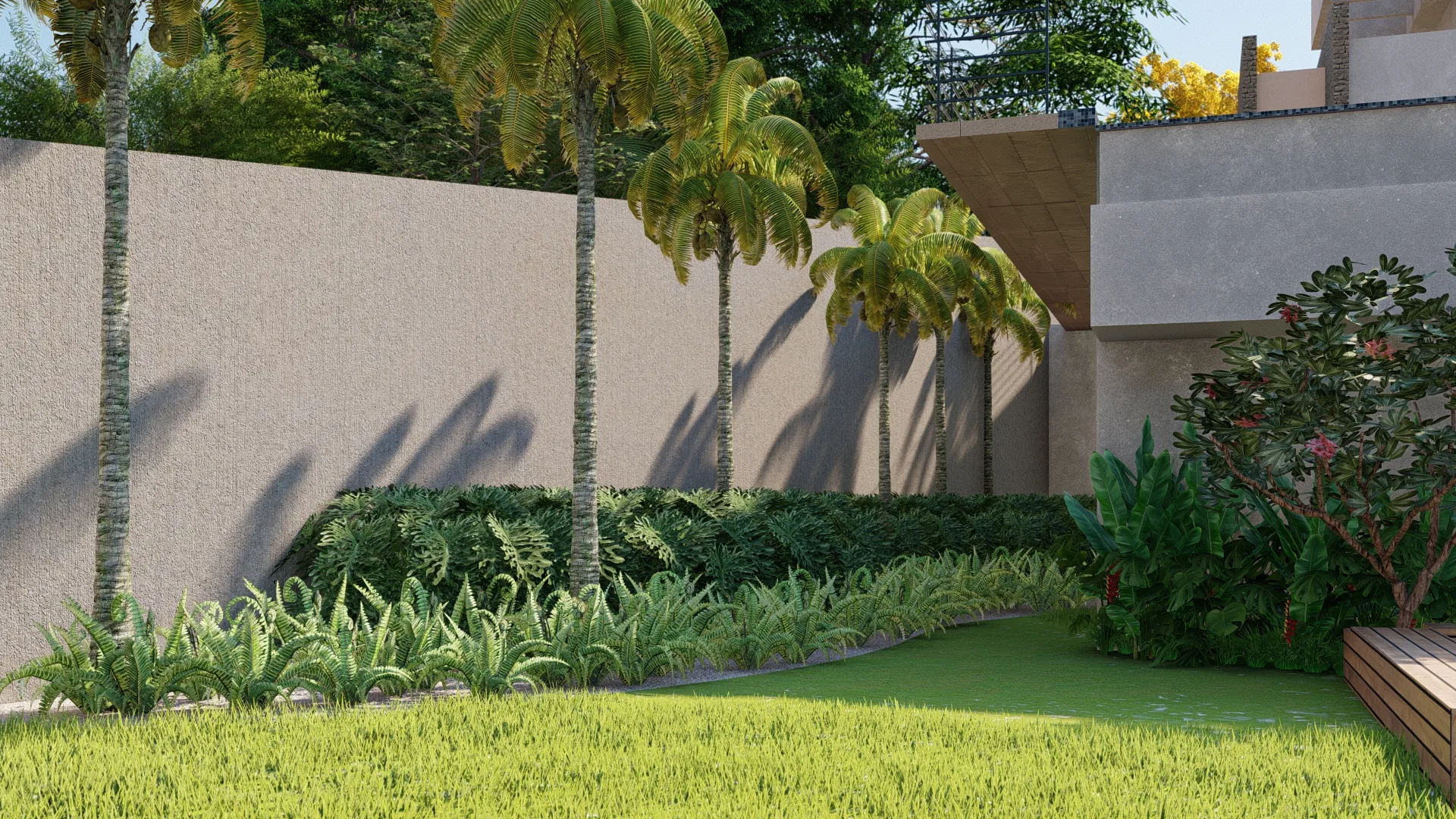 Backyard corner where a tall wall catches palm shadows, a bed of ferns and grasses, a timber bench and a red-flowering shrub