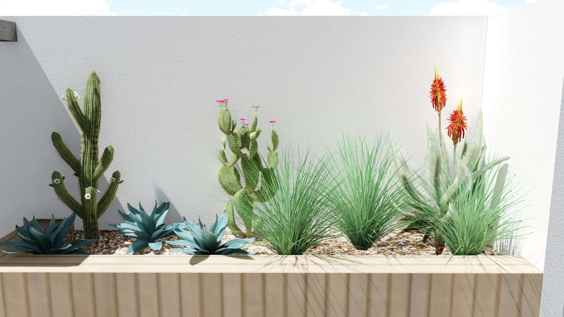 Raised wood planter with cacti, blue-toned agaves, succulents and aloe vera blooms against a white wall