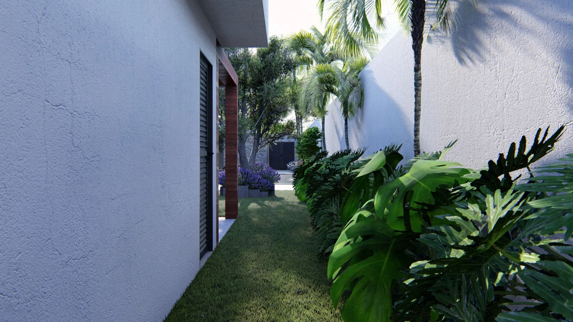 Narrow side corridor with a grass strip, a mass of split leaves to the right and palms before the white wall