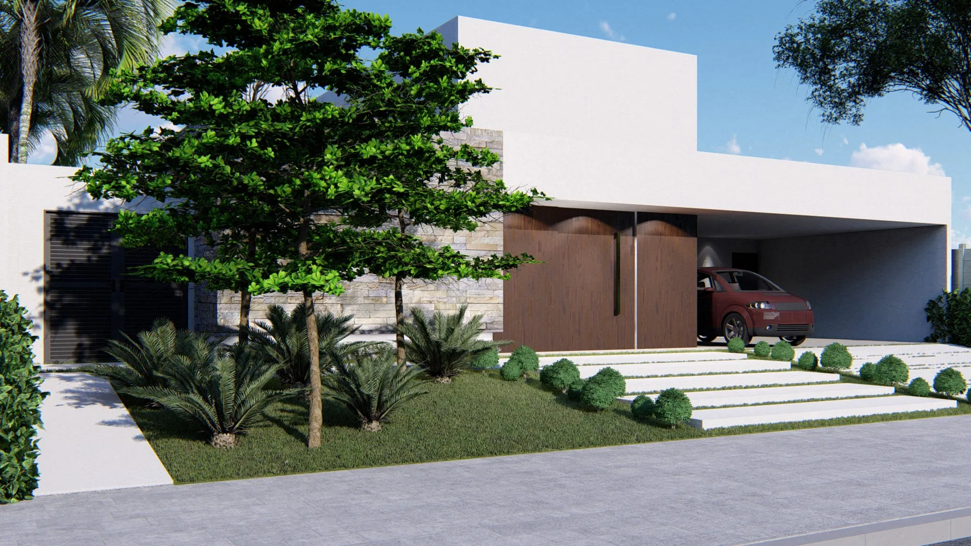Angled entrance view with a dense-canopy tree, cycads and spherical boxwoods lining the pale-stone steps between grass strips