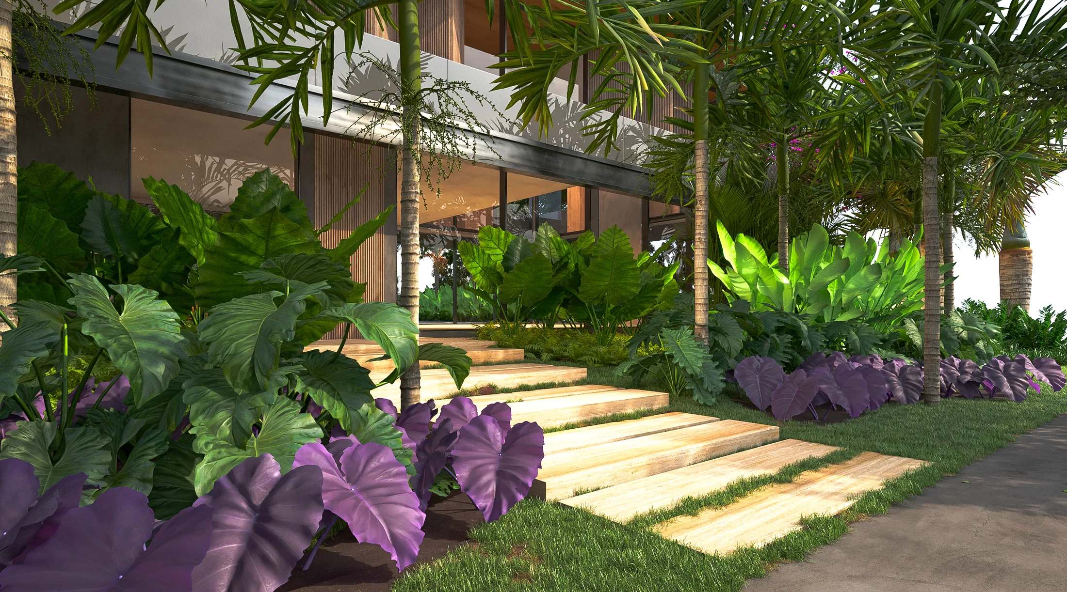 Wooden plank path winding between large purple and green leaves toward the home's glass-and-wood facade