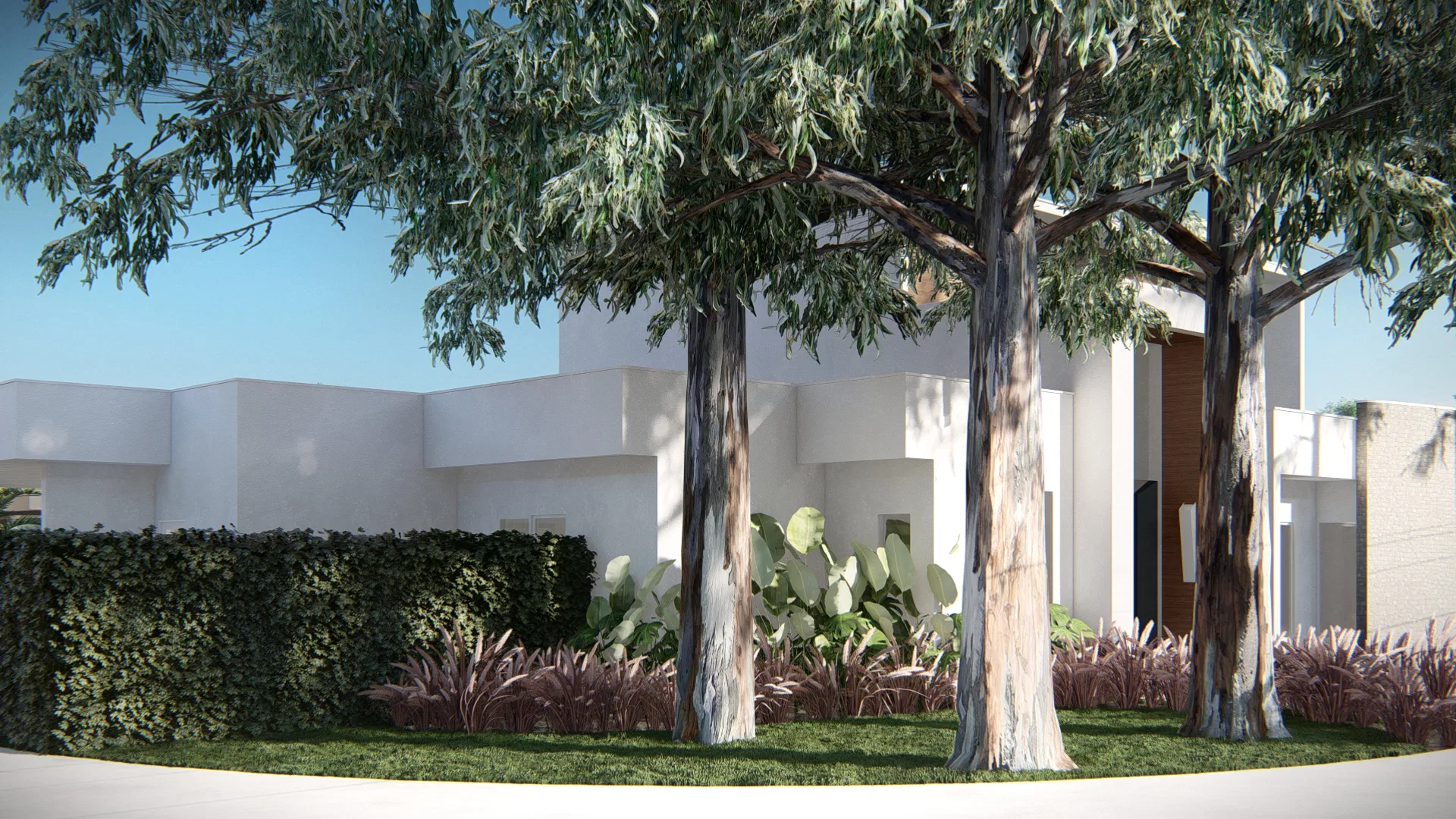 White single-story house facade framed by large trees and a bed of burgundy-toned ornamental grasses